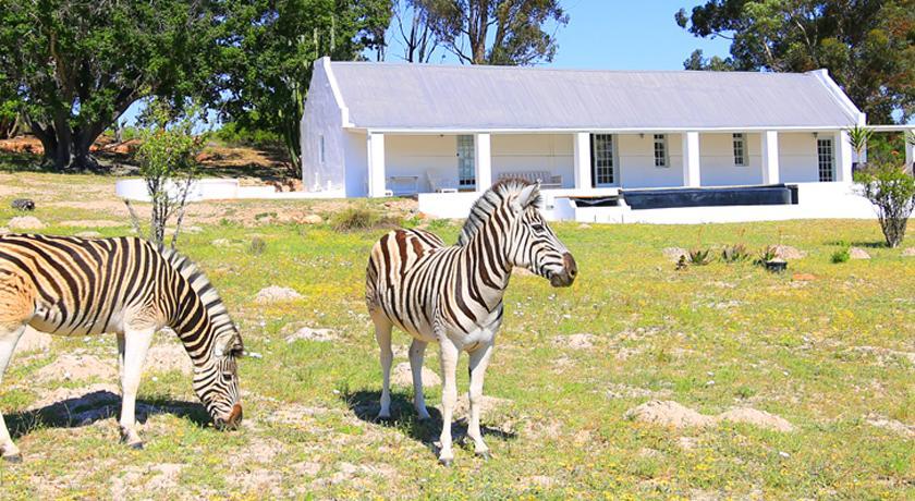 Arnion - Nature Retreat Clanwilliam Extérieur photo